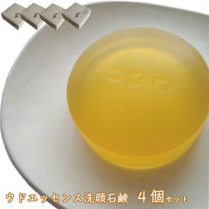 EhΌ 100g 4Zbgul\炿̃EhGbZXΌv  V~ q ΂ ӃZ[
