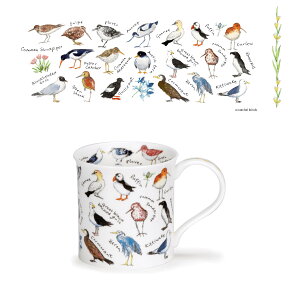 X[p[Z[12/4-12/11|Cg10{_k[@}O@Jbv@Bute BIRDLIFE - COASTAL 300ml@DUNOON