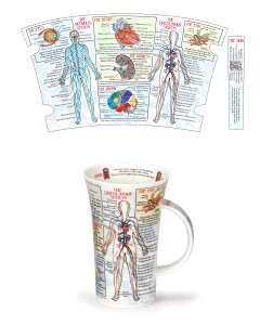 X[p[Z[12/4-12/11|Cg10{_k[@}O@irA}OjGlencoe BODYWORKS 500ml@DUNOON