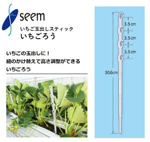 いちごろう シーム 150個入(1袋) 1800個入(1箱) IGR-P150 いちご用資材 誘引資材 イチゴ玉出しスティック 農業資材