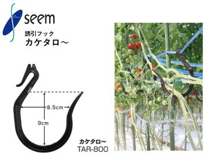 カケタロ〜 シーム 100個入(1袋) 800個入(1箱) TAR-800 トマト茎整理用資材 誘引資材 農業資材