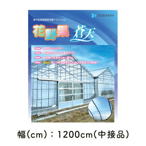 ԖʑV @ZϐtB 0.15mm POtB _PO _Ɨp rj[nEXp 핢 _Ǝ 