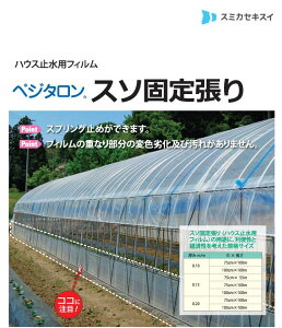 xW^X\Œ蒣 ZϐtB POtB _PO rj[nEXp _Ǝ 핢 nEX~p