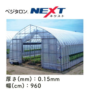 xW^NEXT ZϐtB POtB _PO rj[nEXp _Ǝ 핢