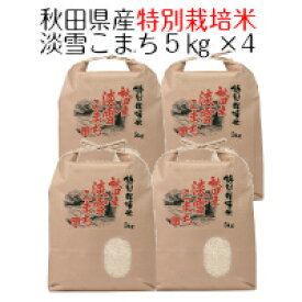 米 お米 白米 秋田県産 特別栽培米 淡雪こまち 20kg（ 5kg×4 ） 令和5年産　送料無料（沖縄は除く）