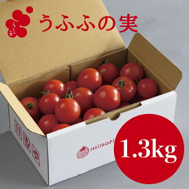 【産地直送】トマト（約1.3kg） 箱 うふふの実 高糖度フルーツトマト　アイメック【常温】送料無料　甘い 兵庫県養父市 とれたて　お取り寄せ 贈答 ギフト 贈り物