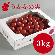 【産地直送】トマト（約3.0kg） 箱 うふふの実 高糖度フルーツトマト　アイメック【常温】送料無料　甘い…