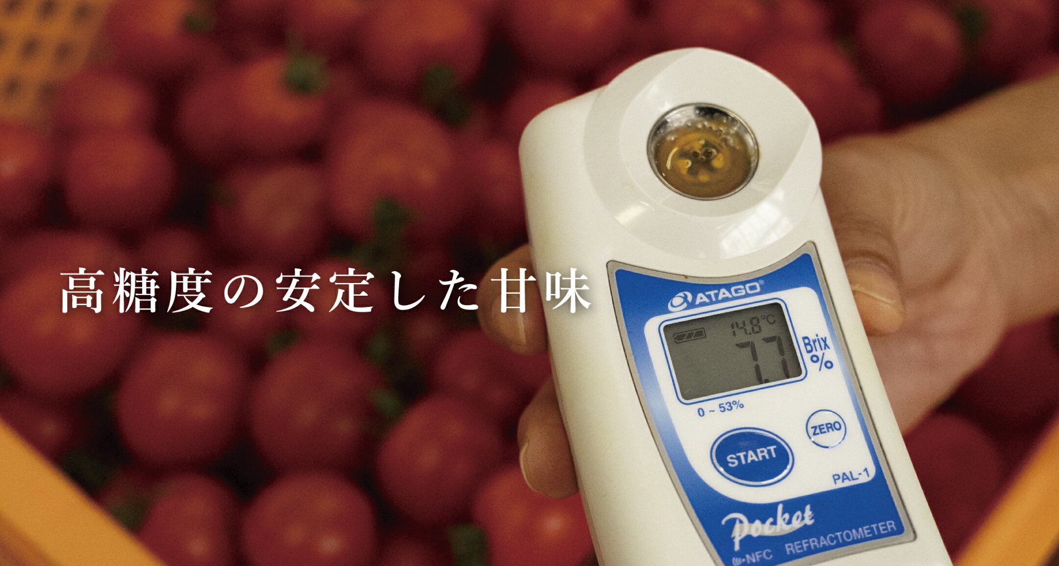 高糖度の安定した甘味