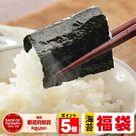 【ポイント5倍】 海苔 福袋 訳あり 4000円→2222円! 賞味期限 間近 在庫処分 2026 焼き海苔 味のり 塩の…