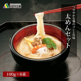 太めん 無添加 100g 6束 セット うどん ひやむぎ 麺 お試し 食品 個包装 乾麺 常温 保存 麺類 グルメ 食べ物 6食 6人前 無着色 保存食 非常食 小麦粉 塩 風味 うまみ 鍋 つゆ 薬味 調理 料理 のどごし 送料無料 即日発送 メール便 太麺 会津製麺 ネコポス 旬食福来