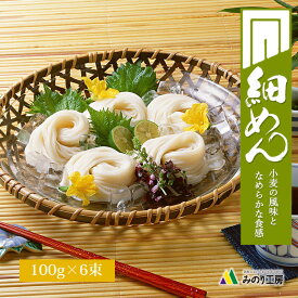細麺 無添加 ひやむぎ 冷麦 100g 6束 セット 麺 めん 食品 個包装 乾麺 常温 保存 麺類 お試し 6食 6人前 無着色 日持ち 流し そうめん 素麺 にゅうめん 高級 グルメ 細うどん お歳暮 2024 冬 ギフト 贈答 お土産 冷麺 小分け 便利 盛り付け 和食 天ぷら 送料無料 会津 製麺