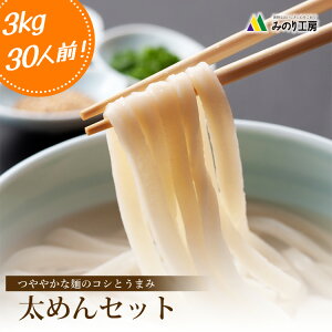 太麺 うどん 無添加 100g 30束 セット 30食 麺 めん 食品 高級 個包装 無着色 大容量 乾麺 麺類 常温 保存 乾燥 小麦 薬味 送料無料 食べ物 グルメ 昼食 調理 日持ち 和食 小分け 太めん 大量 消費