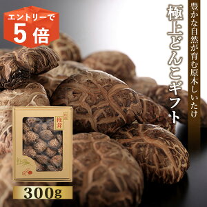 yGg[Ń|Cg5{z hV̓ Mtg Y   ǂ 300g  ő ő  2025 蕨    ͔|  aH R Hi _ o j j