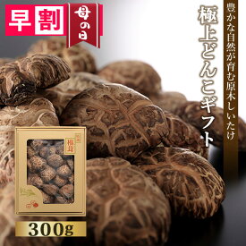 母の日 早割 ギフト 国産 原木 しいたけ どんこ 300g 乾し 乾椎茸 椎茸 2024 贈り物 送料無料 乾燥 野菜 栽培 干し 和食 自然 食品 無農薬 引き出物 御祝い 内祝い 快気 祝い 出産祝い 結婚祝い 贈答 お祝い 肉厚 お寿司 すき焼き 食べ物 お返し お礼 返礼品 大容量 入学祝い