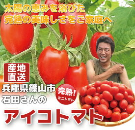 楽天市場 ミニトマト アイコの通販