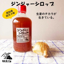 桐島畑のジンジャーシロップ　480g入り　高知県四万十川町産しょうが　生姜シロップ　しょうがシロップ みのりの里