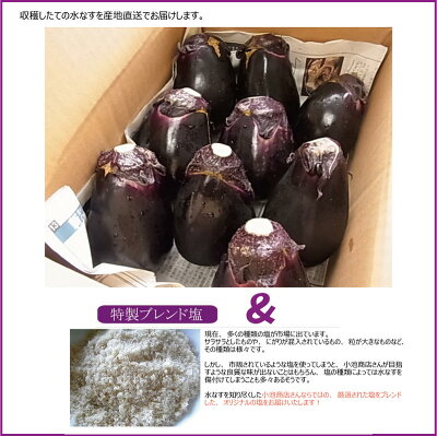 本場泉州産水なすの梱包姿