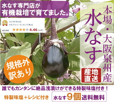 【訳あり】【送料無料】泉州水なす