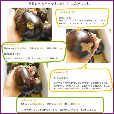 本場泉州産訳あり水なすレビューたくさんありがとうございます