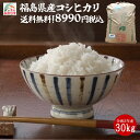 楽天市場 白米 米 雑穀 食品 の通販