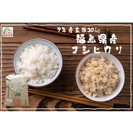 楽天市場】【米 送料無料 30kg】 令和7年産秋田県産 あきたこまち 玄米 