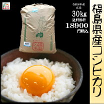 楽天市場】コシヒカリ 30kg 栃木の通販 