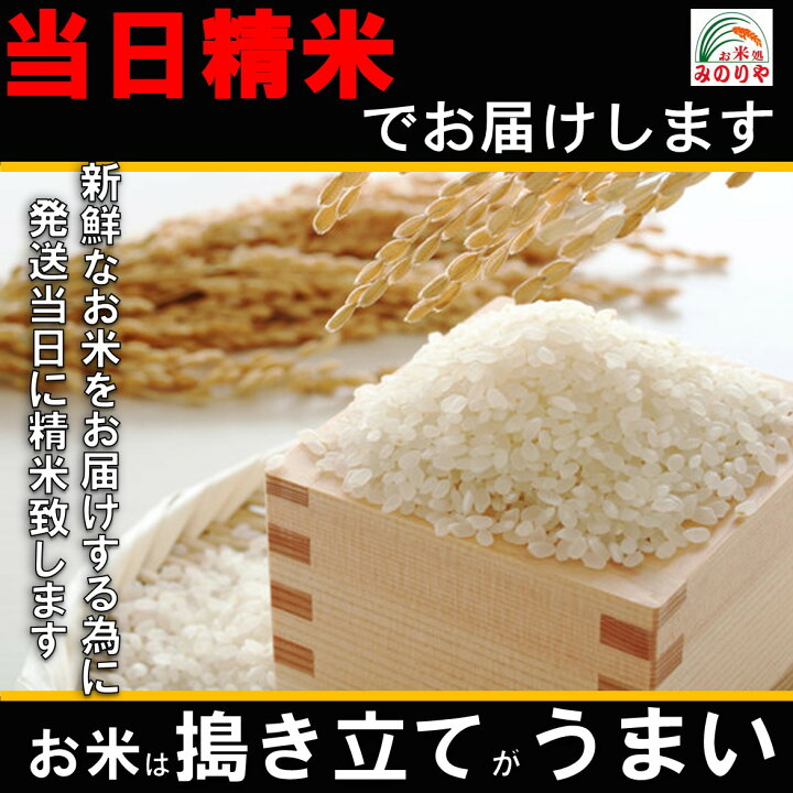 楽天市場】【米 送料無料 30kg】 令和7年産秋田県産 あきたこまち 玄米 