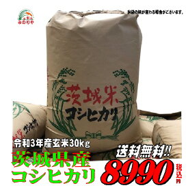 楽天市場 コシヒカリ 30kgの通販 楽天市場 コシヒカリ 30kgの通販
