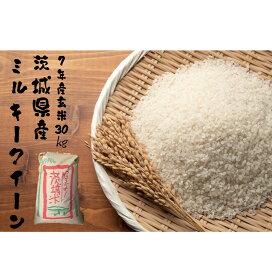 楽天市場】【米 送料無料 30kg】 令和7年産秋田県産 あきたこまち 玄米 