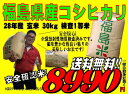 福島県産 コシヒカリ 玄米 30kg 検査1等米 平成28年産　お米　精米無料　送料無料【smtb-td】【saitama】【HLS_DU】【マラソン20150... ランキングお取り寄せ