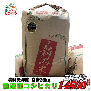 新潟魚沼産 コシヒカリ 玄米 30kg 令和元年産 お米 精米無料 送料無料 【smtb-TD】【saitama】【あす楽_土曜営業】【あす楽_日曜営業】【HLS_DU】 【楽ギフ_のし】【楽ギフ_のし宛書】 02P05Nov16