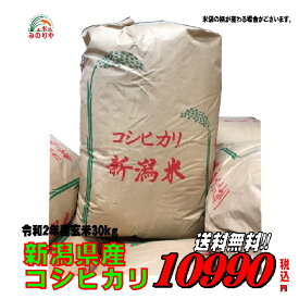令和2年産新潟県産 コシヒカリ 玄米 30kg お米 【smtb-TD】【saitama】【あす楽_土曜営業】【あす楽_日曜営業】【送料無料】【精米無料】【楽ギフ_のし】【楽ギフ_のし宛書】　　02P05Nov16