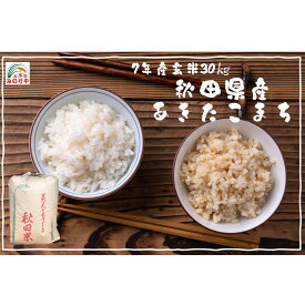 【米 送料無料 30kg】 令和7年産秋田県産 あきたこまち 玄米 30kg お米　 精米無料　送料無料 　
