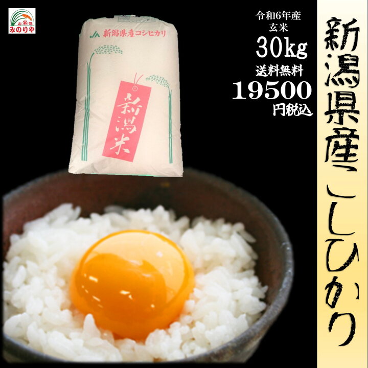 楽天市場】【米 送料無料 30kg】新米 令和6年産新潟県産 コシヒカリ 