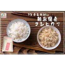 楽天市場】コシヒカリ 鳥取 30kgの通販