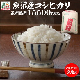 【米 送料無料 30kg】 新潟魚沼産 コシヒカリ 玄米 30kg 令和5年産　お米　精米無料　送料無料 【smtb-TD】【saitama】【あす楽_土曜営業】【あす楽_日曜営業】【HLS_DU】 【楽ギフ_のし】【楽ギフ_のし宛書】