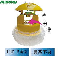 【送料無料】国産 施設園芸用 捕虫器 業務用 LED 吸引式 スマートキャッチャー CLF-700 害虫駆除 飛翔害…