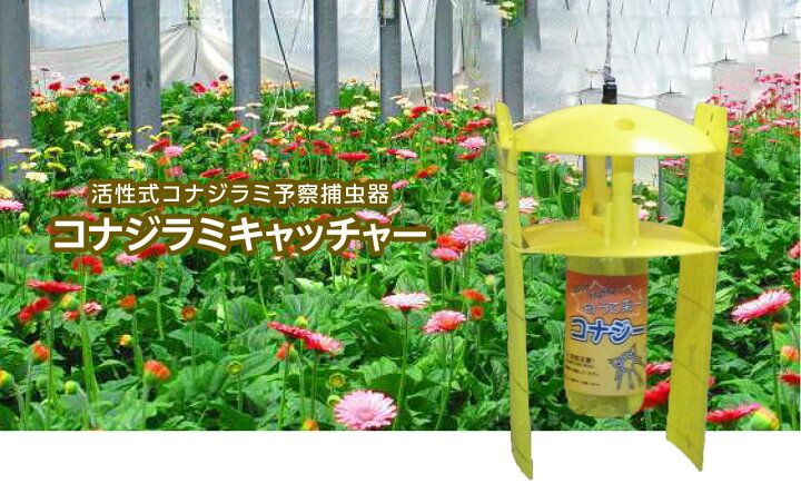 楽天市場】【送料無料】捕虫器 業務用 コナジラミ 活性式 コナジラミ 