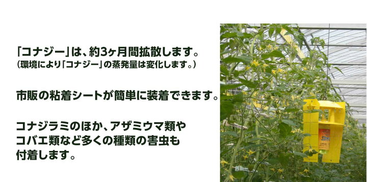 楽天市場】【送料無料】捕虫器 業務用 コナジラミ 活性式 コナジラミ 