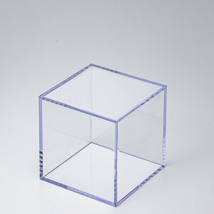 y~mL[u2ZbgzyUVJbg99%zyLTCY97×97×97mmzy3烌CAEgE|[WO\zyShozyXChJzNAP[X fBXvC RNVP[X 
