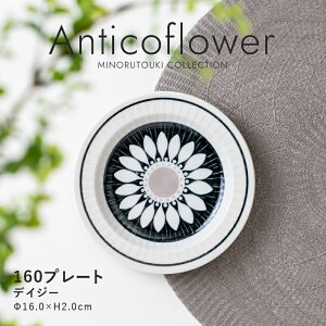 �݂̂铩��yAnticoflower(�A���e�B�R�t�����[)�z160�v���[�g�i��16.0×H2.0cm�j�f�C�W�[