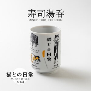 ݂̂铩yiہzLƂ̓i270mlj