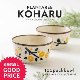 みのる陶器【PLANTAREE／KOHARU 】105パックボウル（Φ10.7×H5.4cm）