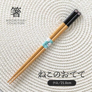 ݂̂铩yz˂̂Ăāi21.0cmjN
