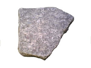 ` Zg`[Nʌipʊہs݌ɏt