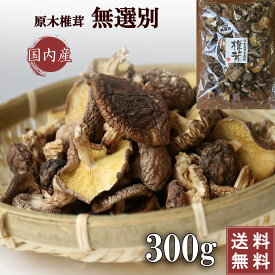 ＼訳あり／原木椎茸 国産 干し椎茸 無選別 300g 送料無料 大容量 椎茸 小葉 家庭用 出汁 きのこ 干ししいたけ シイタケ 乾燥シイタケ 岐阜 原木椎茸 ほししいたけ