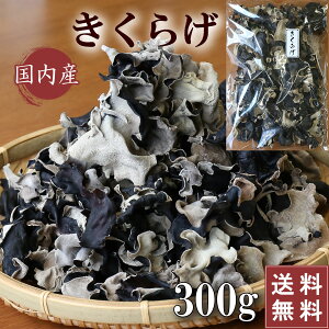 yzY 炰 LNQ 300g 쌧Y ؎ 炰 炰 LNQ ؎ {Y e Ɩp 炰Y r^~D ̂ LmR  i H