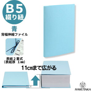 _ 5̂ P10{ ^ w10cm܂ōL wLk t@C GBi[t@C B5^e d  K5S2 1007