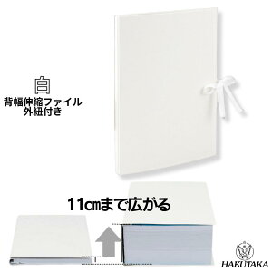 _ 5̂ P10{ ^ w10cm܂ōL wLk t@C GBi[t@C  W4R ngȂ 10pbN 1035-40