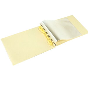 _ 5̂ P20{ ^ |XgJ[h TCY tB250 oC_[ RNVoC_[tB ObY  ANX^ t@C |Pbg RNV